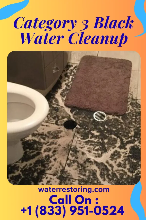 Category 3 Black Water Cleanup in Corning, OH