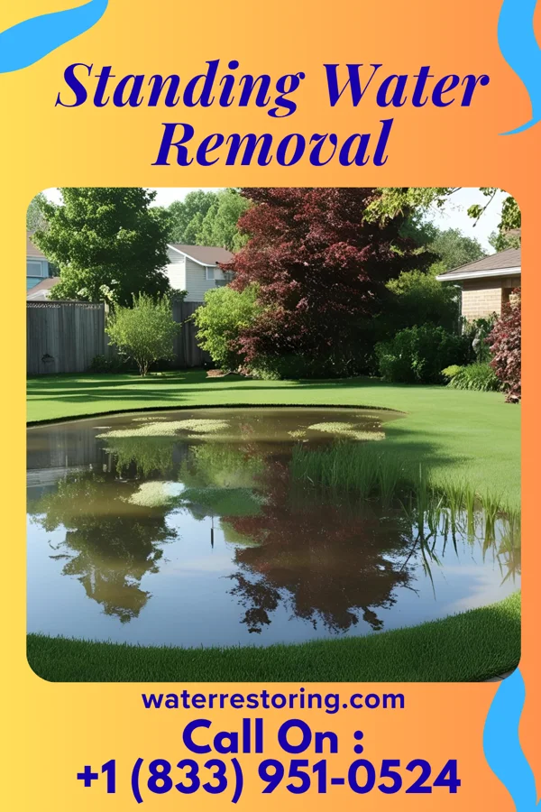 Standing Water Removal in Corning, OH